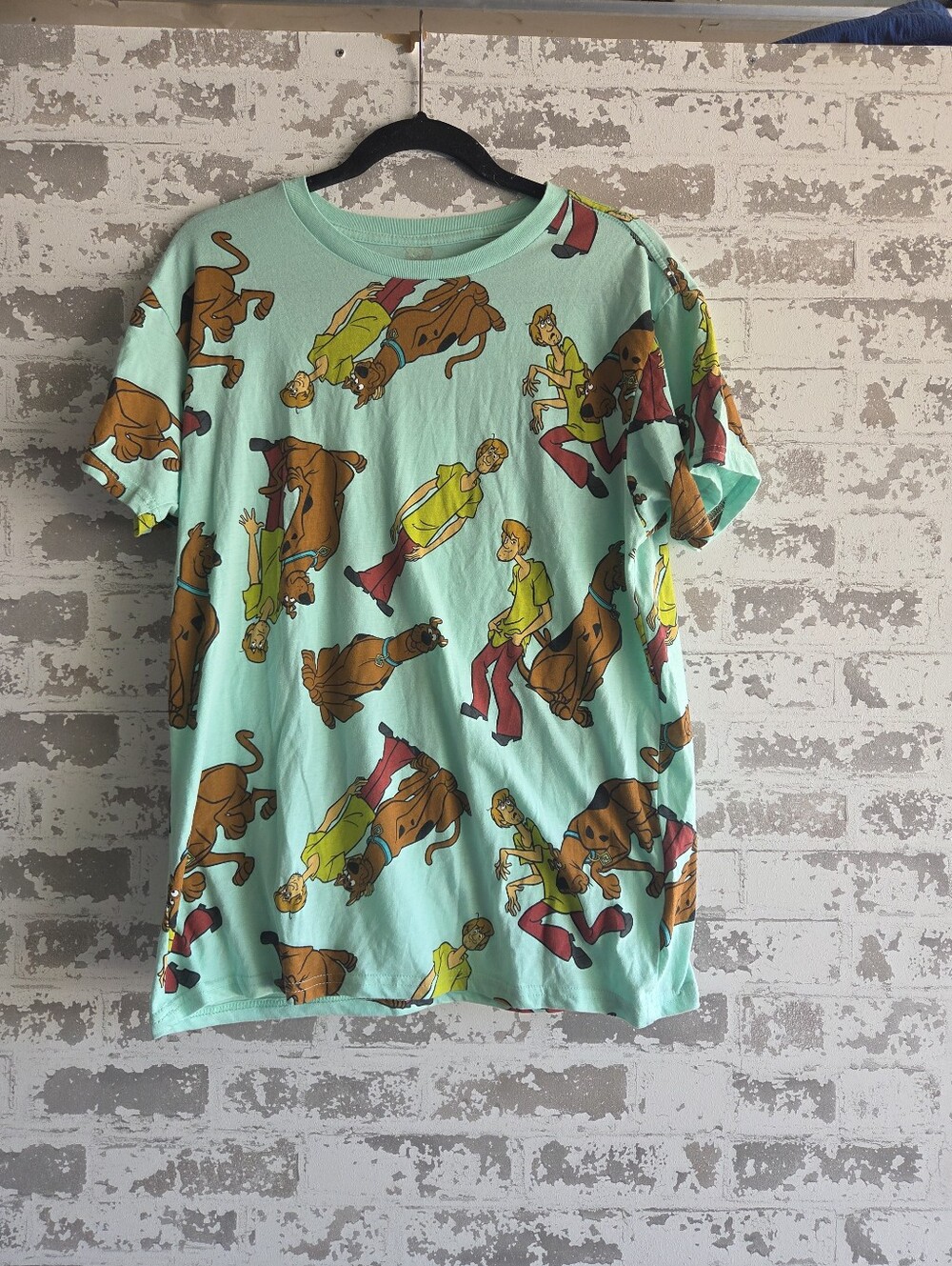 Scooby-Doo & Shaggy All Over Print Tee Mint Green L